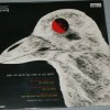 STRAWBERRY PATH - WHEN THE RAVEN HAS COME TO THE EARTH - 