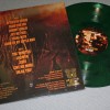 PALM DESERT - FALLS OF THE WASTELANDS (green record) - 