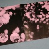 PINK FLOYD - OBSCURED BY CLOUDS (j) - 