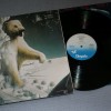 JETHRO TULL - STORMWATCH - 