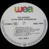 TED NUGENT - LITTLE MISS DANGEROUS - ���������