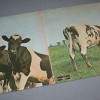 PINK FLOYD - ATOM HEART MOTHER (j) - ���������