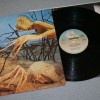 DIXIE DREGS - DREGS OF THE EARTH (Steve Morse) - ���������