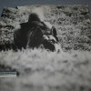 LEE CLAYTON - NAKED CHILD (a) - 