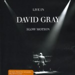 DAVID GRAY - LIVE IN SLOW MOTION - Меломания