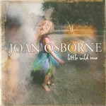 JOAN OSBORNE - LITTLE WILD ONE - ���������