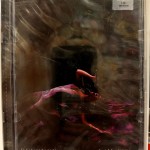 BEYONCE - I AM...YOURS: AN INTIMATE PERFORMANCE AT WYNN LAS VEGAS - ���������