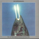 REO SPEEDWAGON - YOU CAN TUNE A PIANO, BUT YOU CAN'T TUNA FISH - ���������