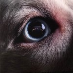 ROGER WATERS - THE DARK SIDE OF THE MOON REDUX - ���������