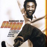 SHAGGY - BOOMBASTIC HITS - ���������