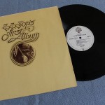 ZZ TOP - FIRST ALBUM - ���������
