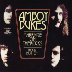 AMBOY DUKES - MARRIAGE ON THE ROCKS / ROCK BOTTOM - ���������