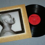 TAJ MAHAL - TAJ - 