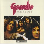 GEORDIE - HOPE YOU LIKE IT - 