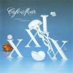 CAFE DEL MAR XXIX (VOLUMEN VEINTENUEVE) - VARIOUS ARTISTS - 