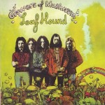 LEAF HOUND - GROWERS OF MUSHROOM - 