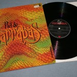 BARRABAS - PIEL DE - 