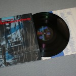 NEIL YOUNG & THE BLUENOTES - THIS NOTES FOR YOU - 