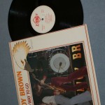 SAVOY BROWN - A HARD WAY TO GO (RAW SIENNA) - 
