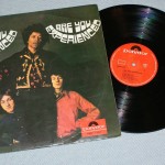 JIMI HENDRIX EXPERIENCE - ARE YOU EXPERIENCED? - ���������