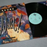 ERASURE - WILD! - Меломания