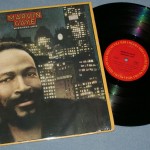 MARVIN GAYE - MIDNIGHT LOVE - ���������