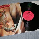 TED NUGENT - PENETRATOR - ���������