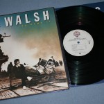 JOE WALSH - YOU BOUGHT IT - YOU NAME IT - ���������