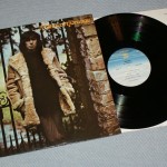 AL STEWART - ORANGE - ���������