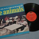 ANIMALS - ANIMALIZATION - 