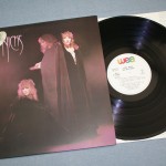 STEVIE NICKS - THE WILD HEART (j) - 