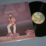 TAJ MAHAL - EVOLUTION (THE MOST RECENT) - 