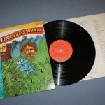 BEACH BOYS - ENDLESS SUMMER (j) - 