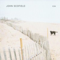 JOHN SCOFIELD - JOHN SCOFIELD - 