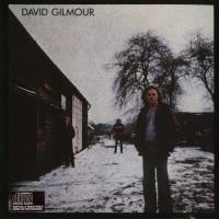DAVID GILMOUR - DAVID GILMOUR - ���������
