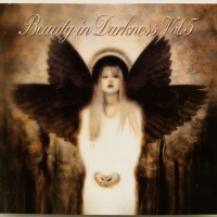 BEAUTY IN DARKNESS VOL. 5 - VARIOUS ARTISTS (digipak) - 