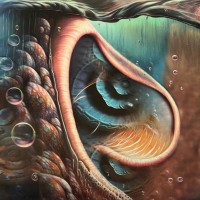 PINK FLOYD / TRIBUTE - MEDDLE REIMAGINED: A TRIBUTE TO PINK FLOYD - 