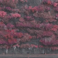 SLEEP TOKEN - EVEN IN ARCADIA - 