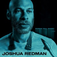 JOSHUA REDMAN - WORDS FALL SHORT - 