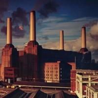 PINK FLOYD - ANIMALS (cardboard sleeve) - ���������