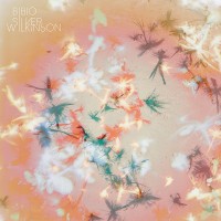 BIBIO - SILVER WILKINSON - ���������