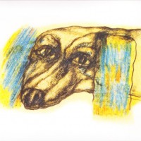 DOLPHIN -  (digipak) - 