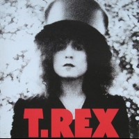 T. REX - THE SLIDER - ���������