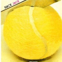 BLACK JACK - WHITE BUSINESS - 