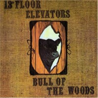 13th FLOOR  ELEVATORS - BULL OF THE WOODS - 