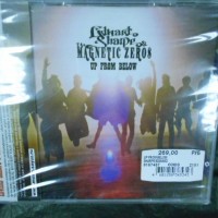 EDWARD SHARPE & THE MAGNETIC ZEROS - UP FROM BELOW - 