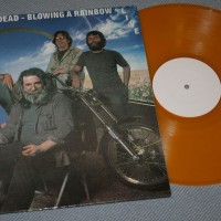 GRATEFUL DEAD - BLOWING A RAINBOW (colour) - ���������