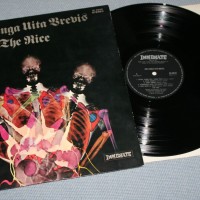 NICE - ARS LONGA VITA BREVIS (j) - ���������