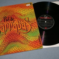 BARRABAS - PIEL DE - 