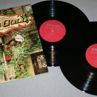 24     - WIENER GOLD - 
